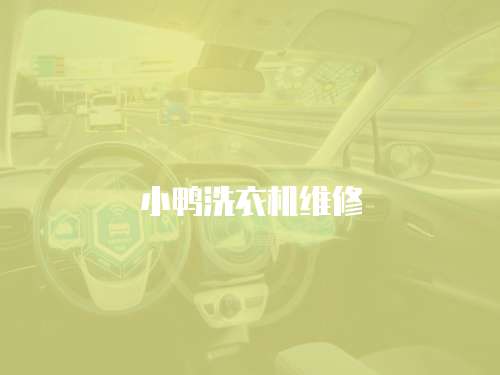 小鴨洗衣機維修