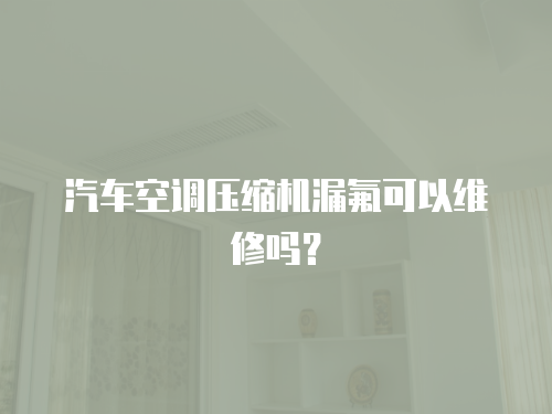 汽車空調(diào)壓縮機漏氟可以維修嗎？