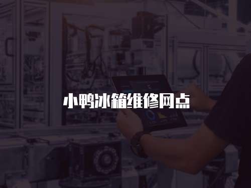小鴨冰箱維修網點