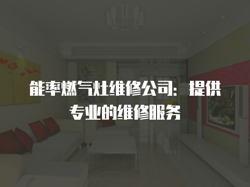 能率燃氣灶維修公司：提供專業的維修服務