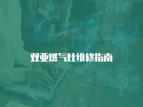 雙亞燃氣灶維修指南