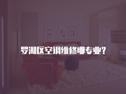羅湖區空調維修哪專業？