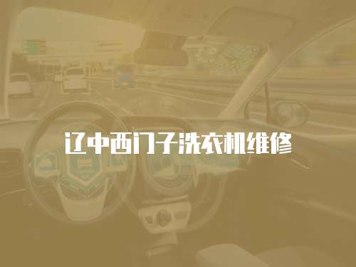 遼中西門子洗衣機維修