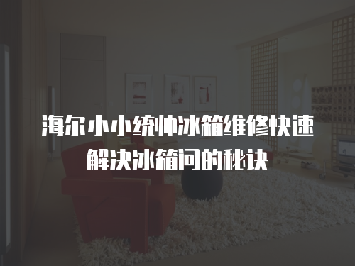 海爾小小統帥冰箱維修快速解決冰箱問的秘訣