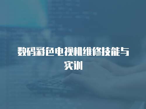 數(shù)碼彩色電視機維修技能與實訓