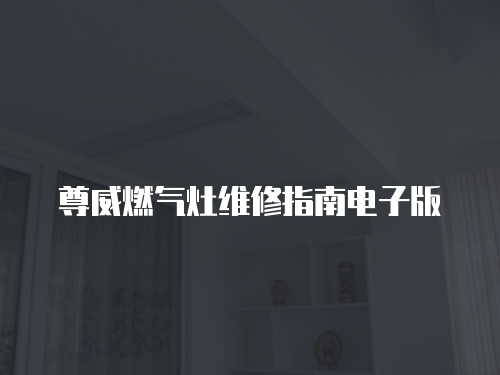 尊威燃氣灶維修指南電子版