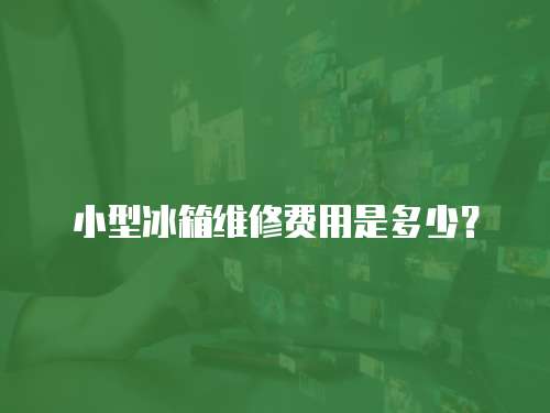 小型冰箱維修費用是多少？