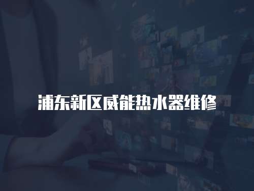 浦東新區威能熱水器維修