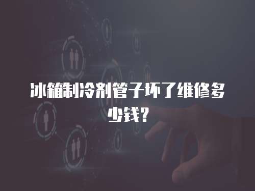 冰箱制冷劑管子壞了維修多少錢？