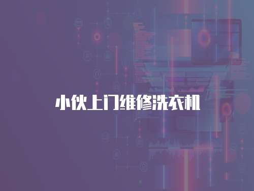 小伙上門維修洗衣機