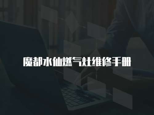 魔都水仙燃氣灶維修手冊