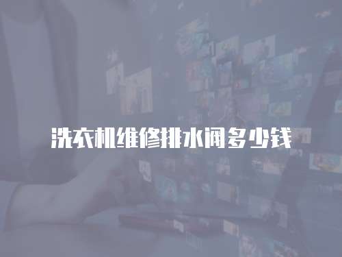 洗衣機(jī)維修排水閥多少錢
