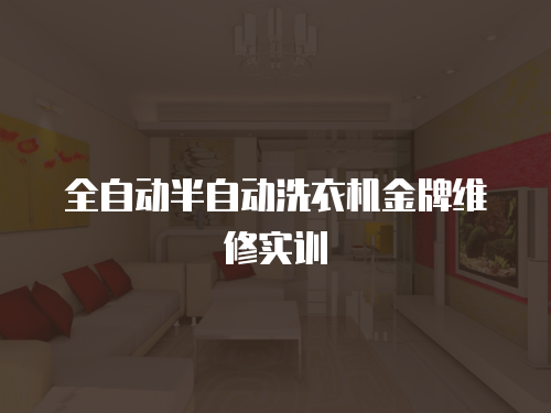 全自動半自動洗衣機(jī)金牌維修實(shí)訓(xùn)