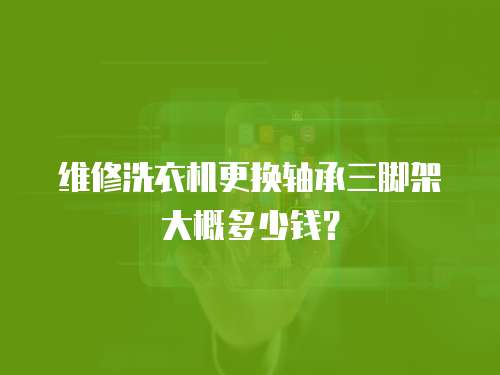 維修洗衣機更換軸承三腳架大概多少錢？
