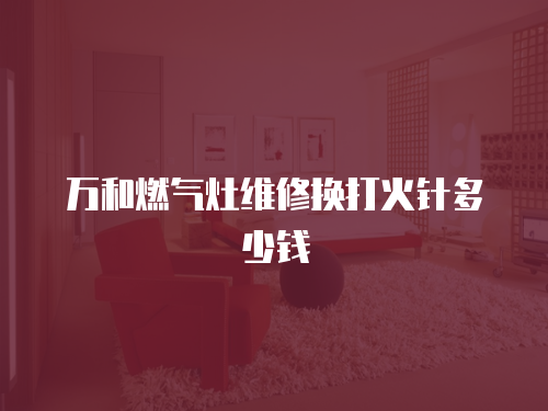 萬和燃氣灶維修換打火針多少錢