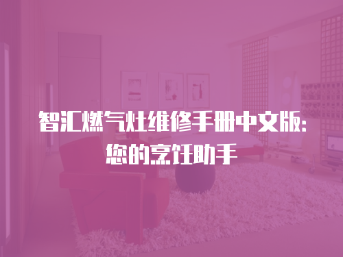 智匯燃?xì)庠罹S修手冊(cè)中文版：您的烹飪助手