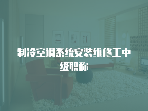 制冷空調系統安裝維修工中級職稱