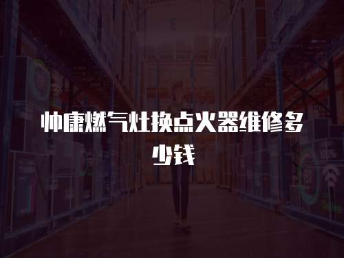帥康燃氣灶換點火器維修多少錢