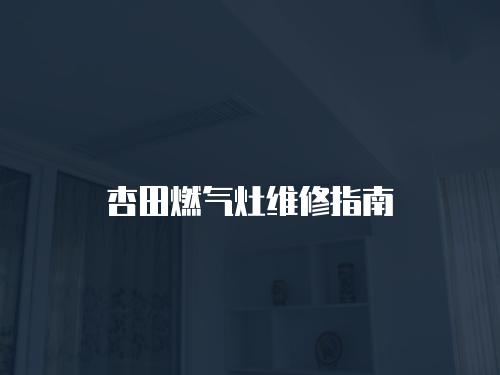 杏田燃?xì)庠罹S修指南