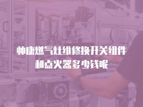 帥康燃氣灶維修換開關組件和點火器多少錢呢