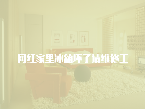 網(wǎng)紅家里冰箱壞了請維修工