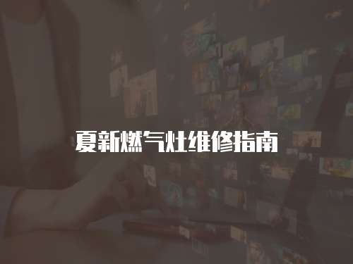 夏新燃?xì)庠罹S修指南