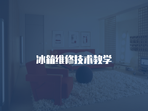 冰箱維修技術(shù)教學(xué)