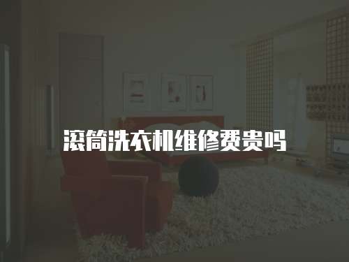 滾筒洗衣機(jī)維修費(fèi)貴嗎