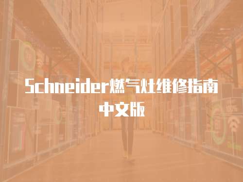 Schneider燃氣灶維修指南中文版
