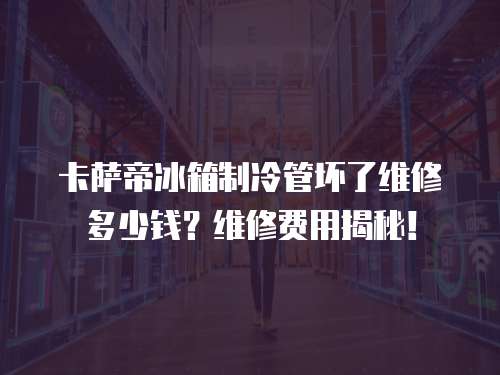 卡薩帝冰箱制冷管壞了維修多少錢？維修費用揭秘！