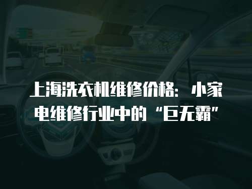 上海洗衣機(jī)維修價(jià)格：小家電維修行業(yè)中的“巨無霸”