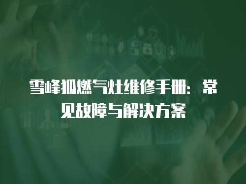 雪峰狐燃氣灶維修手冊：常見故障與解決方案