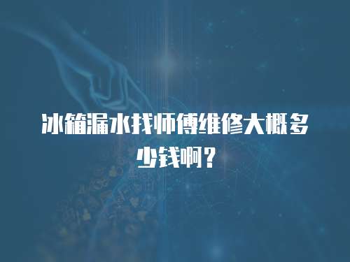 冰箱漏水找師傅維修大概多少錢??？