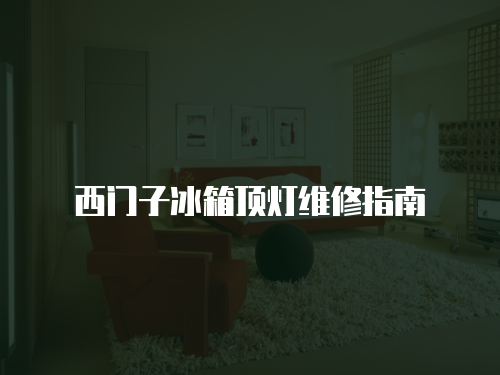 西門子冰箱頂燈維修指南