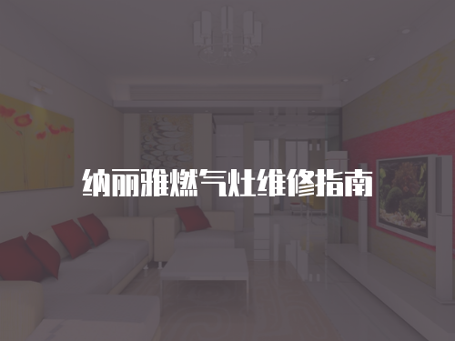 納麗雅燃氣灶維修指南