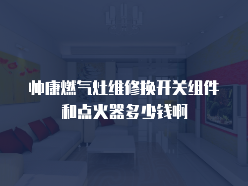 帥康燃氣灶維修換開關組件和點火器多少錢啊