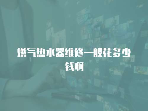 燃?xì)鉄崴骶S修一般花多少錢啊