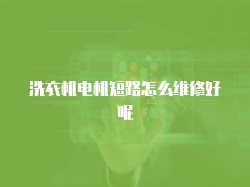 洗衣機(jī)電機(jī)短路怎么維修好呢