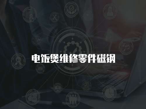 電飯煲維修零件磁鋼