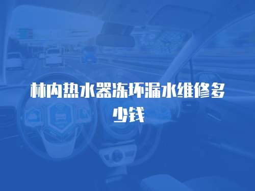 林內熱水器凍壞漏水維修多少錢