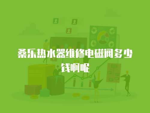 桑樂熱水器維修電磁閥多少錢啊呢