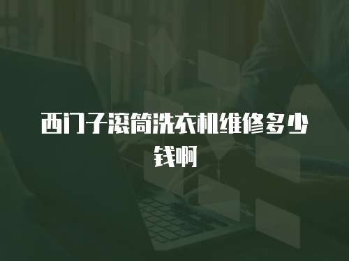 西門子滾筒洗衣機維修多少錢啊