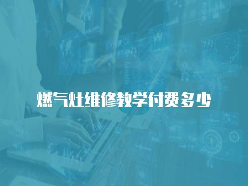燃?xì)庠罹S修教學(xué)付費(fèi)多少