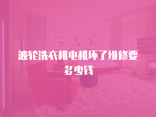 波輪洗衣機電機壞了維修要多少錢