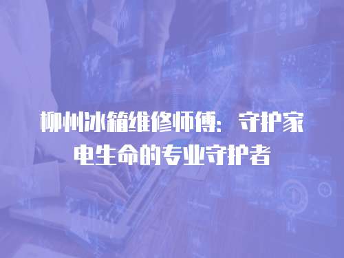 柳州冰箱維修師傅：守護家電生命的專業(yè)守護者