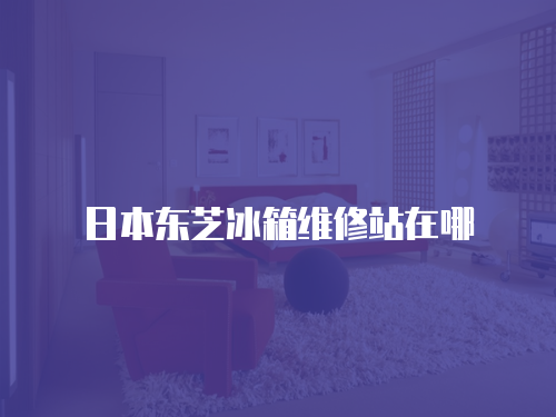 日本東芝冰箱維修站在哪