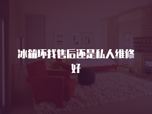 冰箱壞找售后還是私人維修好