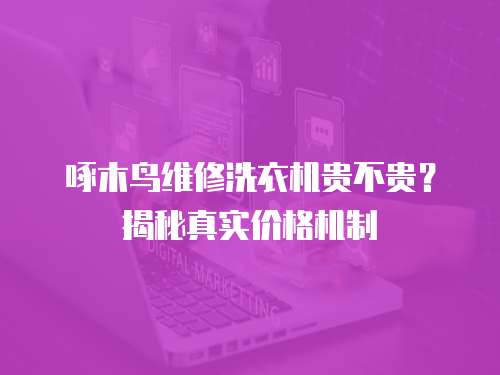 啄木鳥(niǎo)維修洗衣機(jī)貴不貴？揭秘真實(shí)價(jià)格機(jī)制