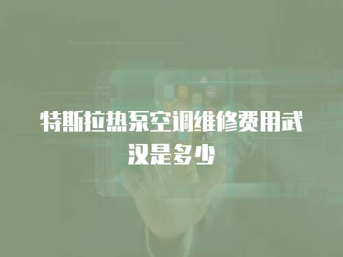 特斯拉熱泵空調維修費用武漢是多少 特斯拉熱泵空調維修費用武漢是多少