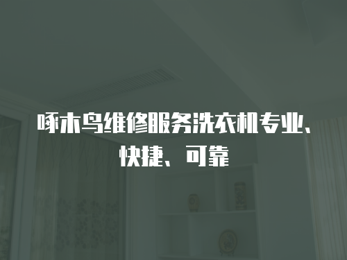 啄木鳥維修服務(wù)洗衣機(jī)專業(yè)、快捷、可靠